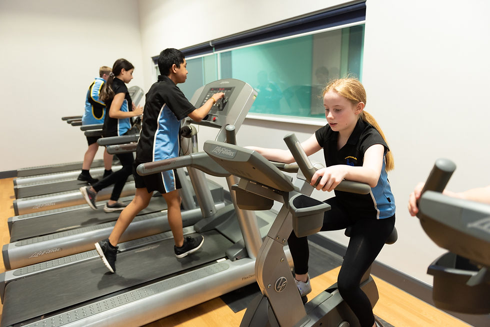 Gym at Croesyceiliog School