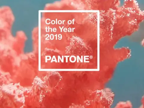 Pantone Colour of the Year