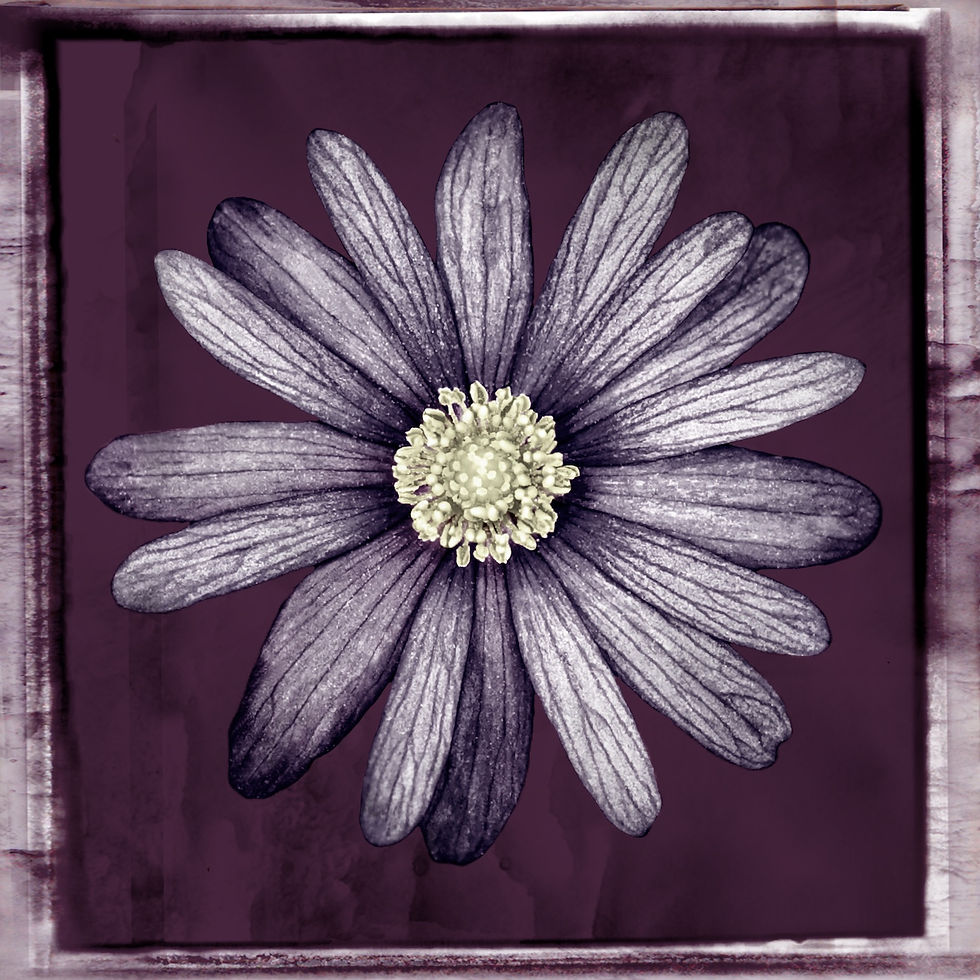 Vintage Flower · Dark