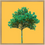Thumbnail: Tree no_11 - Fine Art Alu Print