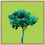 Thumbnail: Tree no_3 - Fine Art Alu Print