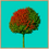 Thumbnail: Tree no_4 - Fine Art Alu Print