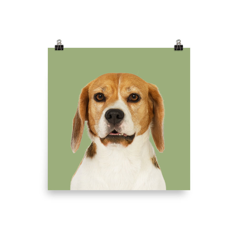 Art Print · Project 100 Dogs · Samba the Beagle