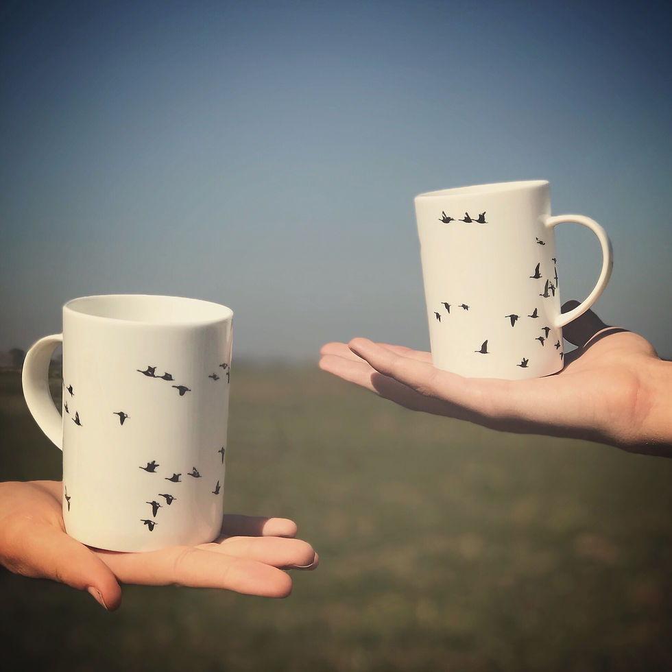 Mug (Krus) 2 mugs
