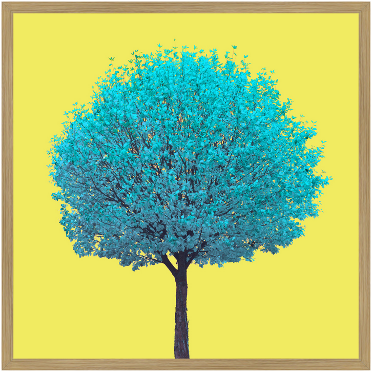 Thumbnail: Tree no_10 - Fine Art Alu Print