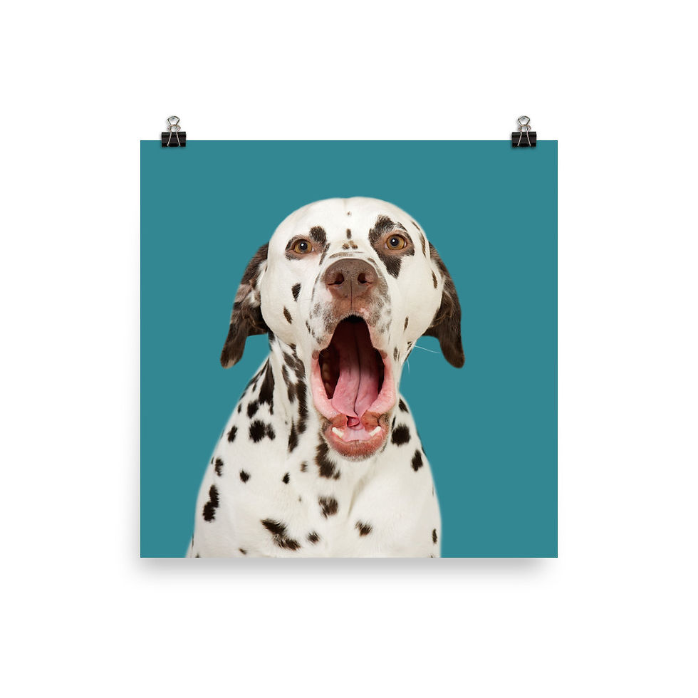Thumbnail: Art Print · Project 100 Dogs · Pongo the Dalmatian