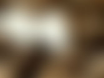 Le cerfeuil tubéreux