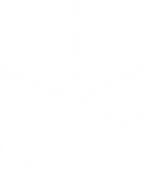 Packaging Consulting