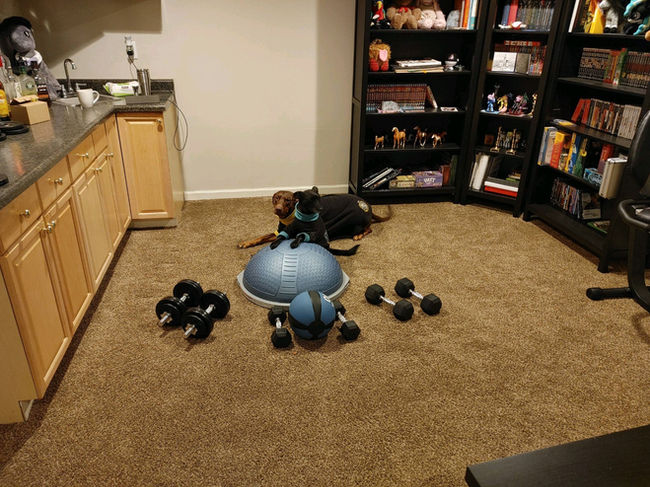 More client workout equipment
