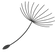 ChatGPT Image 27_edited_edited.png