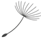 ChatGPT Image 27_edited_edited.png