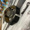 Thumbnail: Omega Vintage Seamaster "Bullhead" - 11.000€