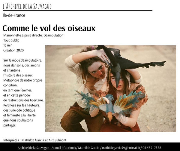 l archipel de la sauvague.jpg