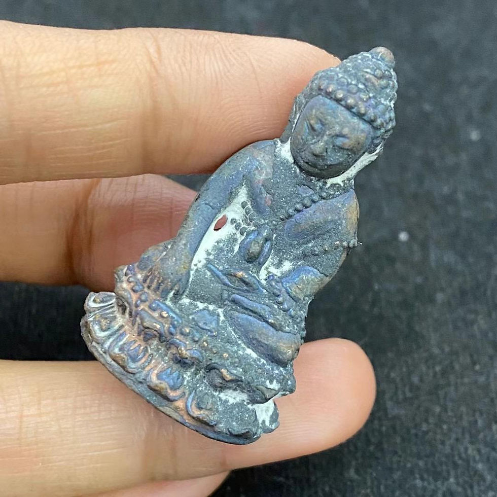 縮圖：2540 僧王廟 十九世僧王84歲紀念版 藥師佛