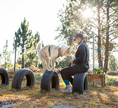 Behaviour Consults ; Canine Conditioning ; Dog Training ; Obedience Training ; K9Yoga ; Canine Fitness ; Separation Anxiety ; COAPE MHERA ; PetFit Pawsonal Trainer ; PetFit Canine Fitness ; Prehab ; Rehabilitation ; Reactivity ; Dog Aggression ; Resource Guarding ; Nervous Dog ; Rescue Dog ; Dog Behaviourist ; K9 Partners