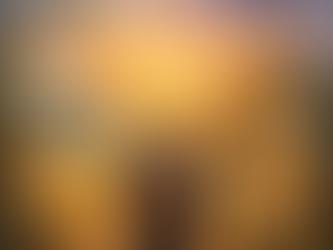 Kolmannen kierroksen kulkija