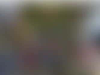 Se extiende el ambulantaje