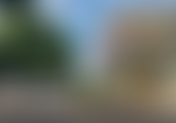 El esplendor de los árboles