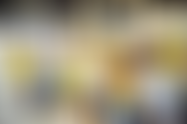 Toman protesta nuevos dirigentes del PRD en el distrito