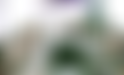 Garantizada la transparencia en las elecciones. Esencial la participación ciudadana: Eva Tavernier