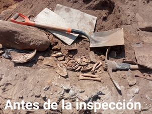 Hallan vestigios en Jalcomulco