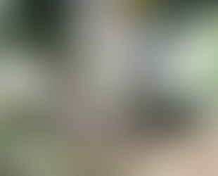 Pocito de agua del barrio San Jerónimo