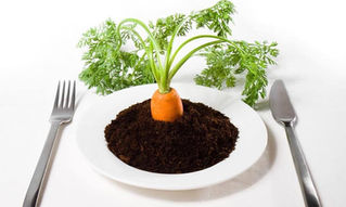 Precisamos falar sobre alimentação sustentável