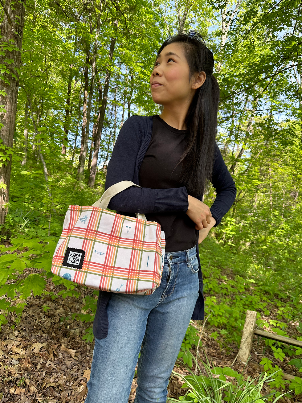 縮圖：Rainbow pattern bag with zipper pocket divider (Medium)