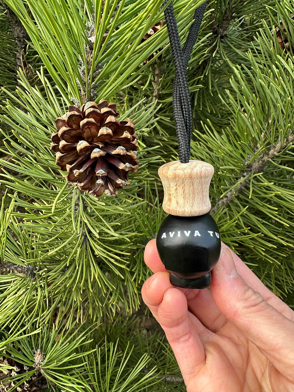 縮圖：Car Refresher (100% Essential Oil)