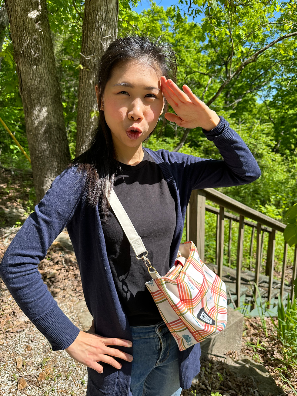 縮圖：Rainbow pattern bag with zipper pocket divider (Medium)