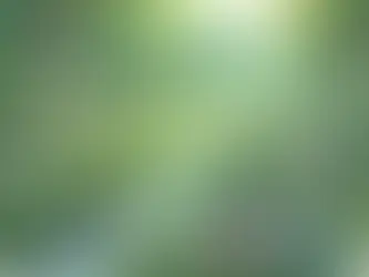 喚醒嗅覺，找回生活中的氣味與情感連結