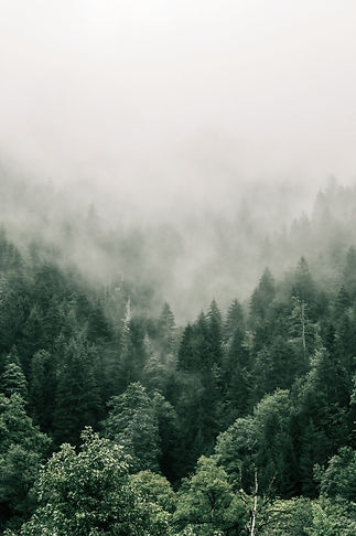 This photo was taken in the high mountai