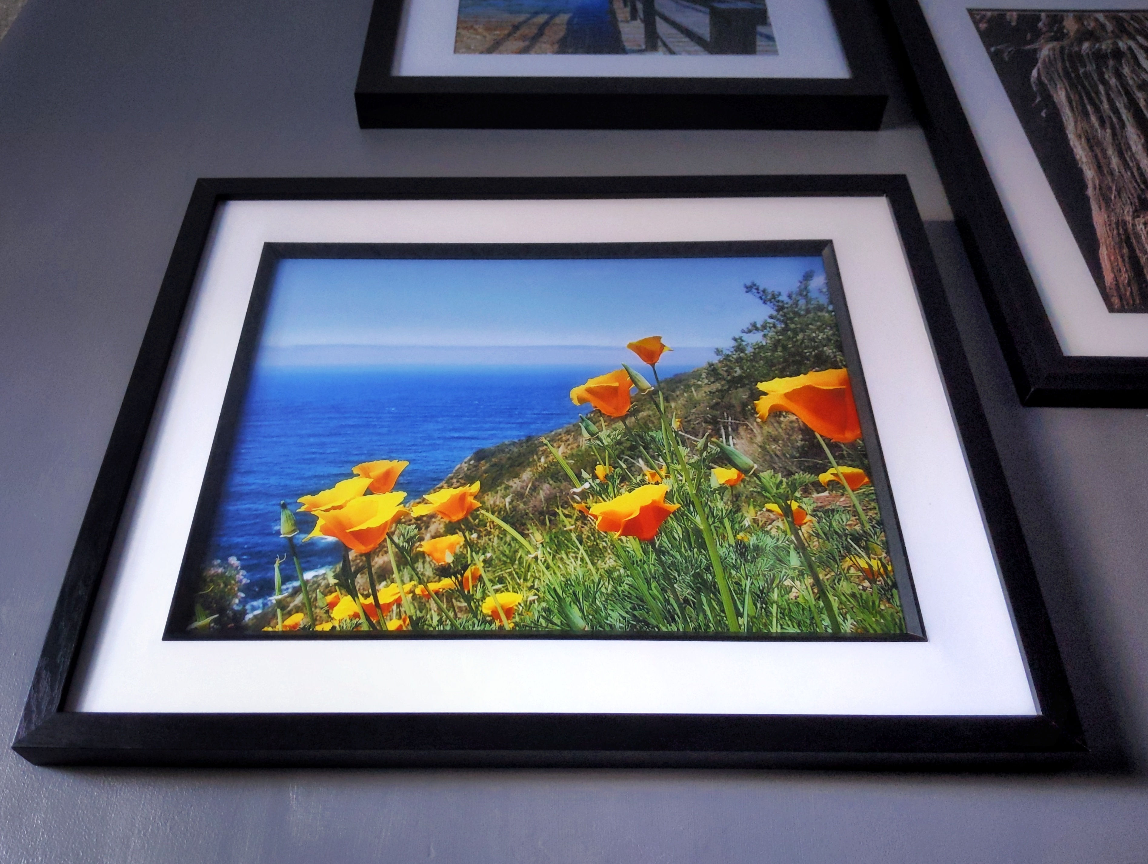 California Poppies of PCH (large framed)