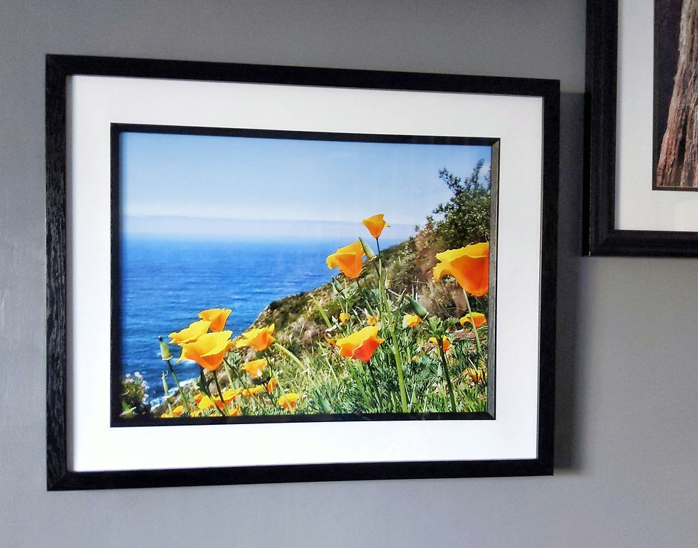 Thumbnail: California Poppies of PCH (large framed)