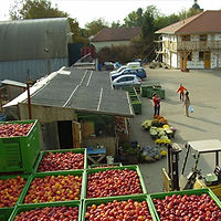 2000.jpg