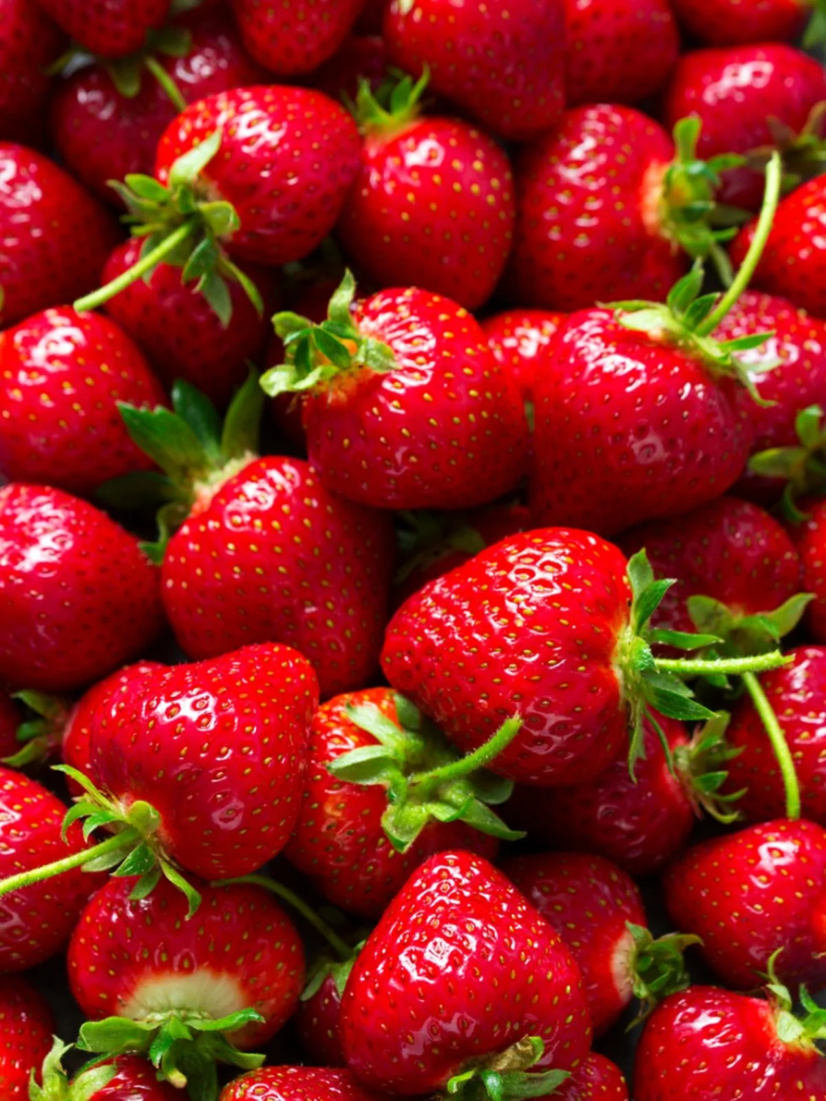 ripe-red-strawberries.webp