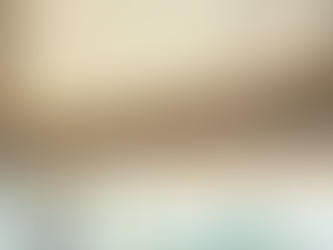 Custom Roman Shades in Atlanta: Exploring Elegant Roman Shades Styles