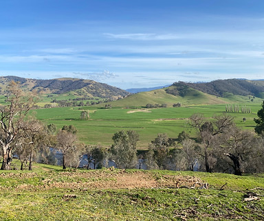 5 SITE RIVER FLATS OF MURRAY RIVER VIC.JPG