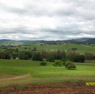 17 SITE TALMALMO NSW.JPG
