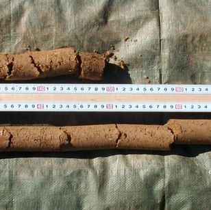 32 SOIL LOG.JPG