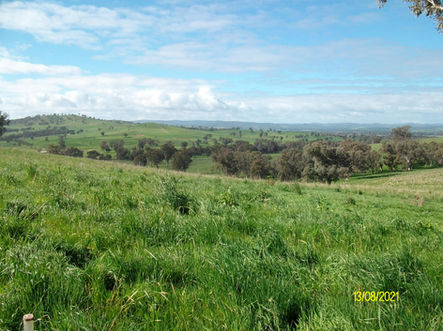 12 SITE LITTLE BILLABONG NSW.JPG