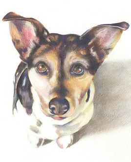Terrier picture in watercolour and colour pencil