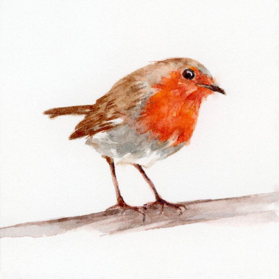 Thumbnail: Original Watercolour Robin Series (IV)