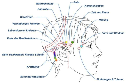 Access Bars Gehirn.gif