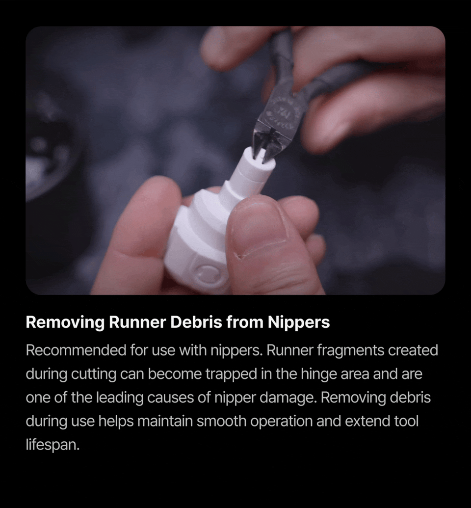5.gif