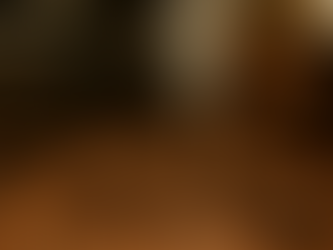 infestation rats cuisine lyon restaurant