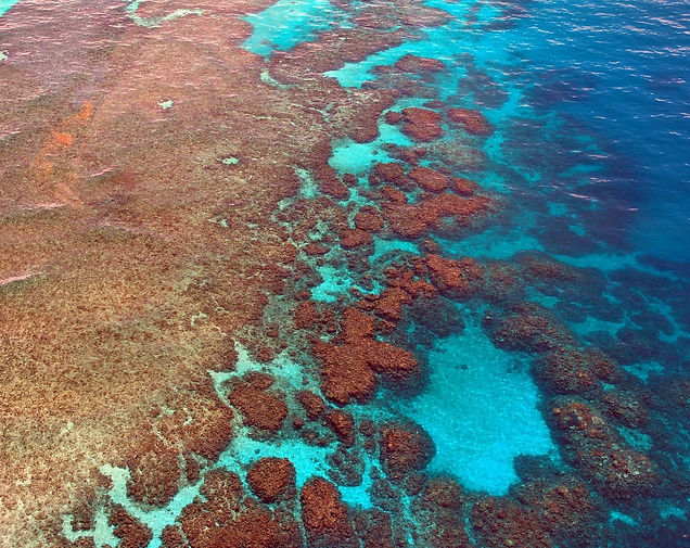 great-barrier-reef-261726_1280.jpg