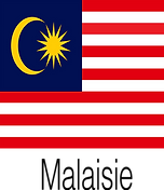 Flag Malasia.tiff