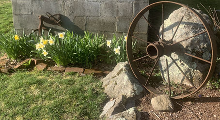 April 27 2025 Embracing Spring (Finally) On And Off The Mat; Practicing Vikasita Kamalasana And Making Cold Noodles With Sesame Sauce