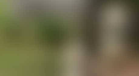 April 27 2025 Embracing Spring (Finally) On And Off The Mat; Practicing Vikasita Kamalasana And Making Cold Noodles With Sesame Sauce